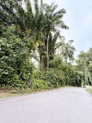 Cluny Park (D10), Detached #568064481